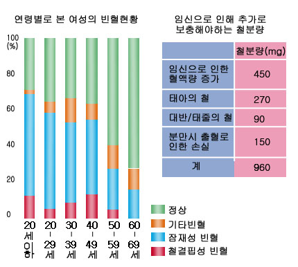 의약품 이미지